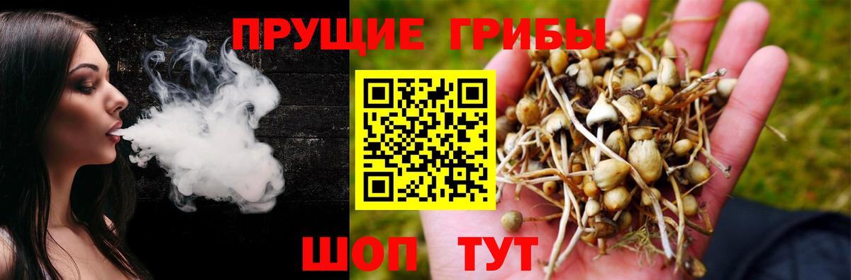 Гурьевск  купить   Вход с VPN  Галлюциногенные грибы Magic Shrooms 
